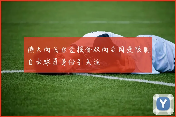 热火向戈尔金报价双向合同受限制自由球员身份引关注