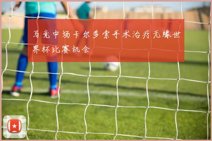马竞中场卡尔多索手术治疗无缘世界杯比赛机会
