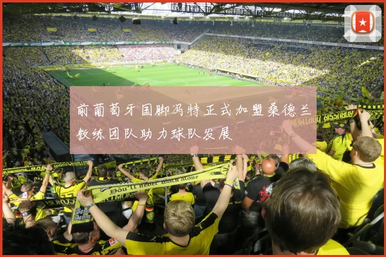 前葡萄牙国脚冯特正式加盟桑德兰教练团队助力球队发展